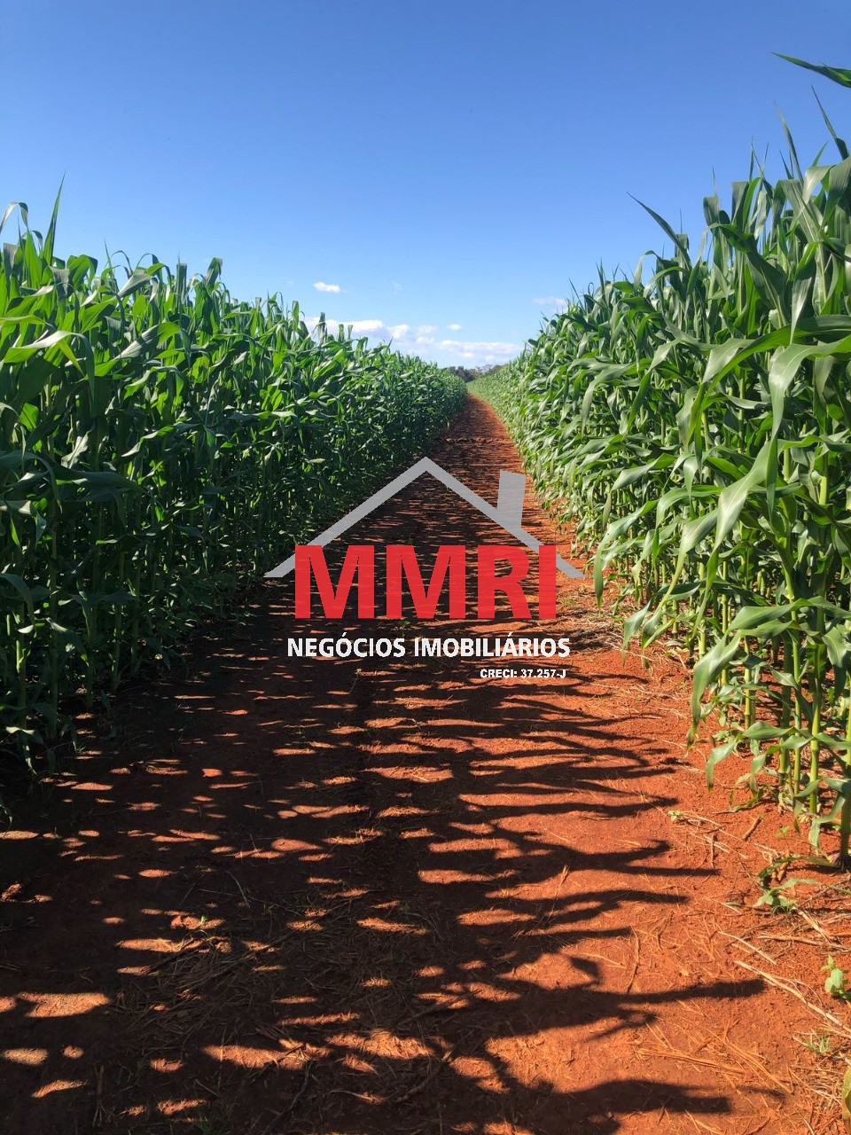 Fazenda, 3645 m² - Foto 4