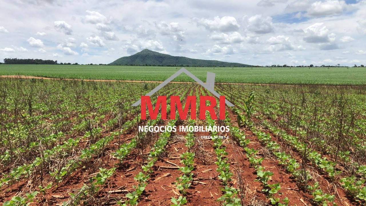 Fazenda, 3645 m² - Foto 5