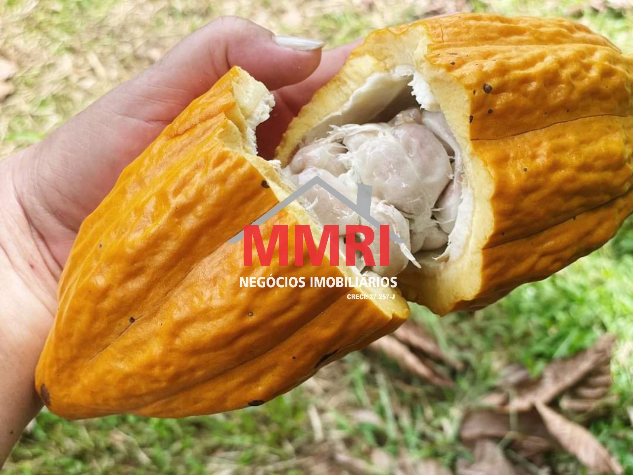 Fazenda, 2000 m² - Foto 18