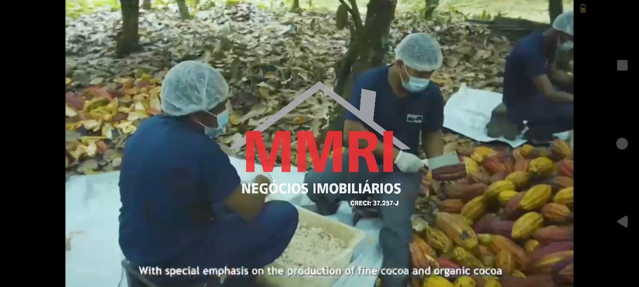 Fazenda, 2000 m² - Foto 4