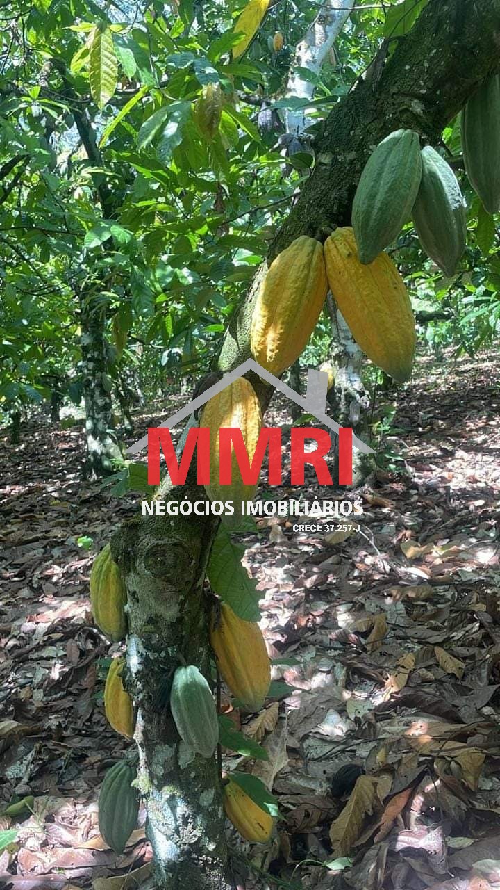 Fazenda, 2000 m² - Foto 16