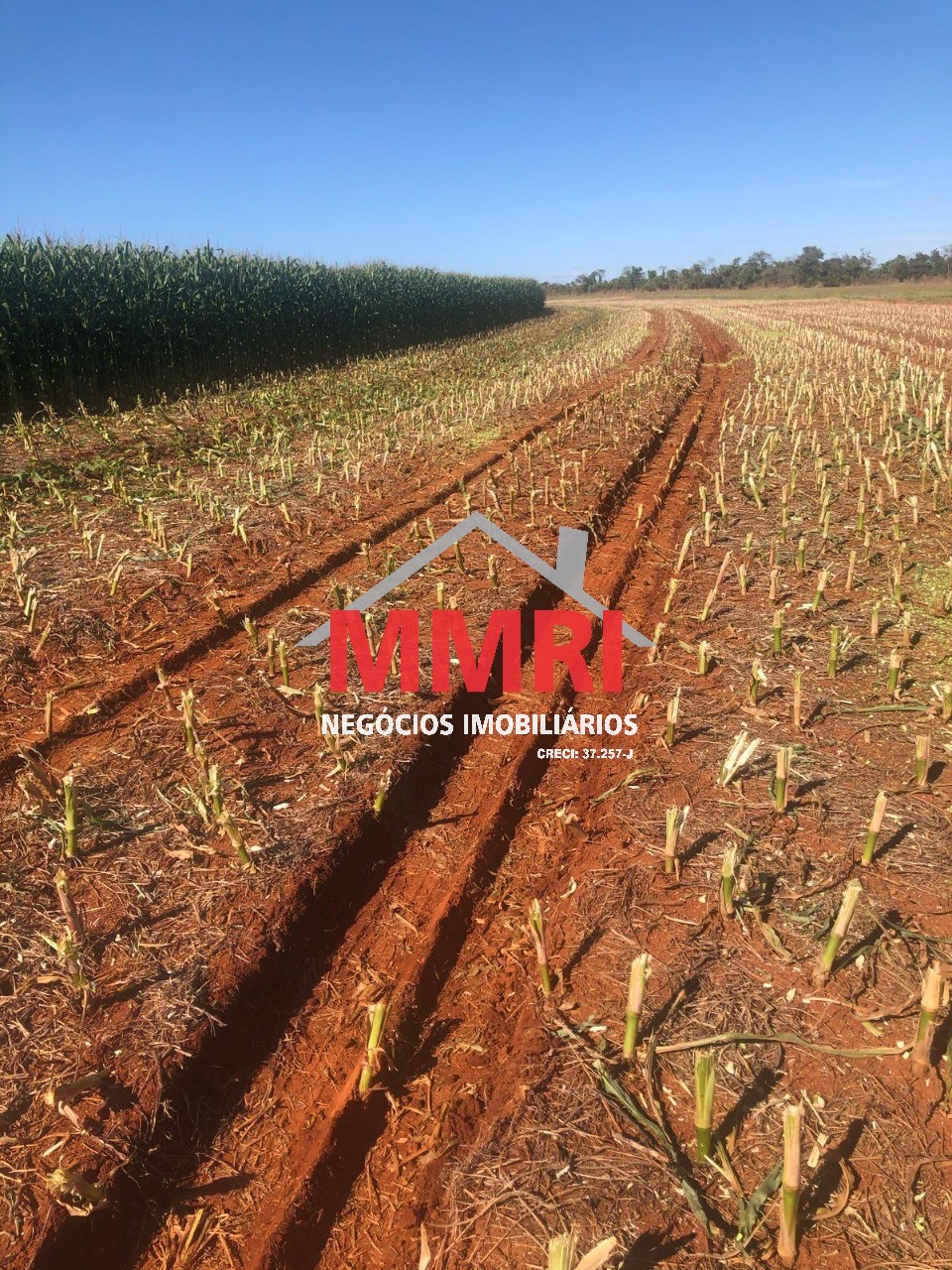 Fazenda, 3645 m² - Foto 6