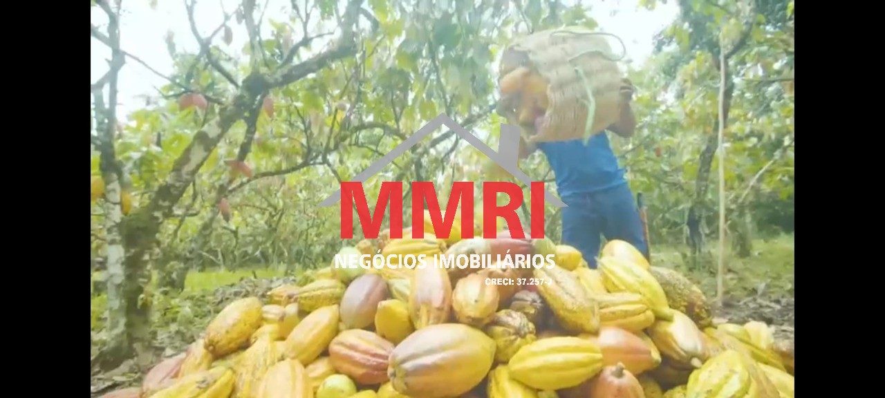 Fazenda, 2000 m² - Foto 3