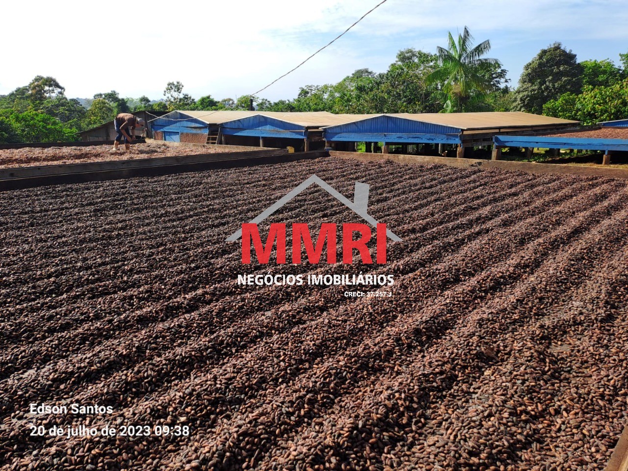 Fazenda, 2000 m² - Foto 5