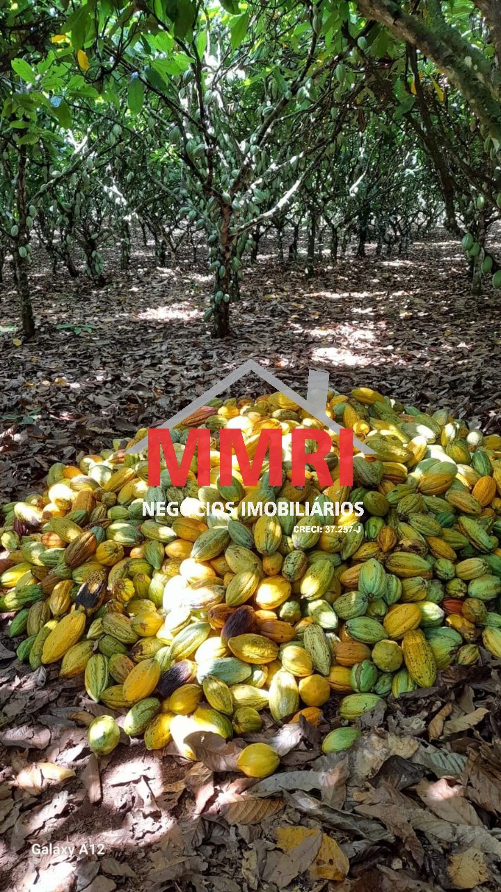 Fazenda, 2000 m² - Foto 19