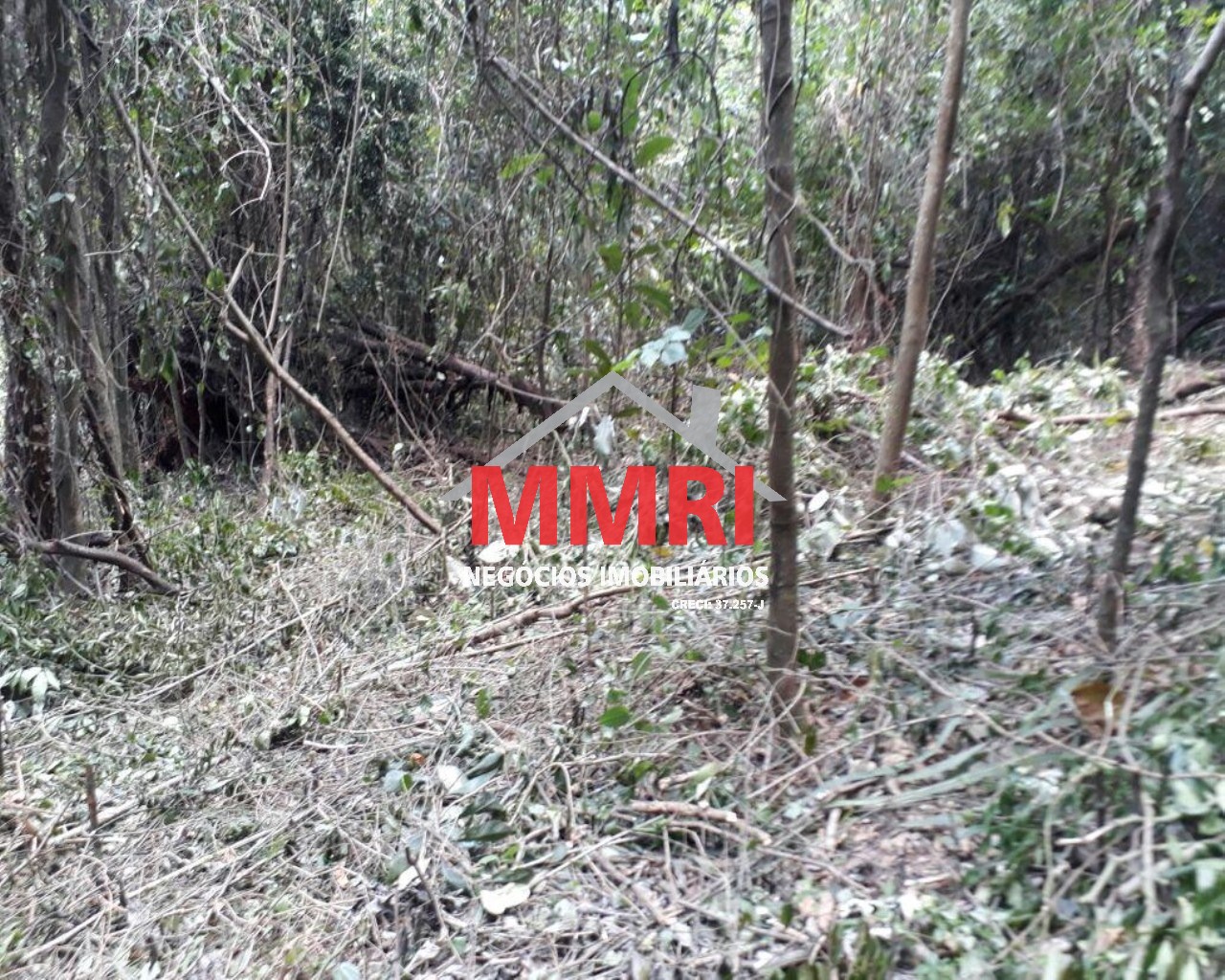 Terreno, 1000 m² - Foto 3