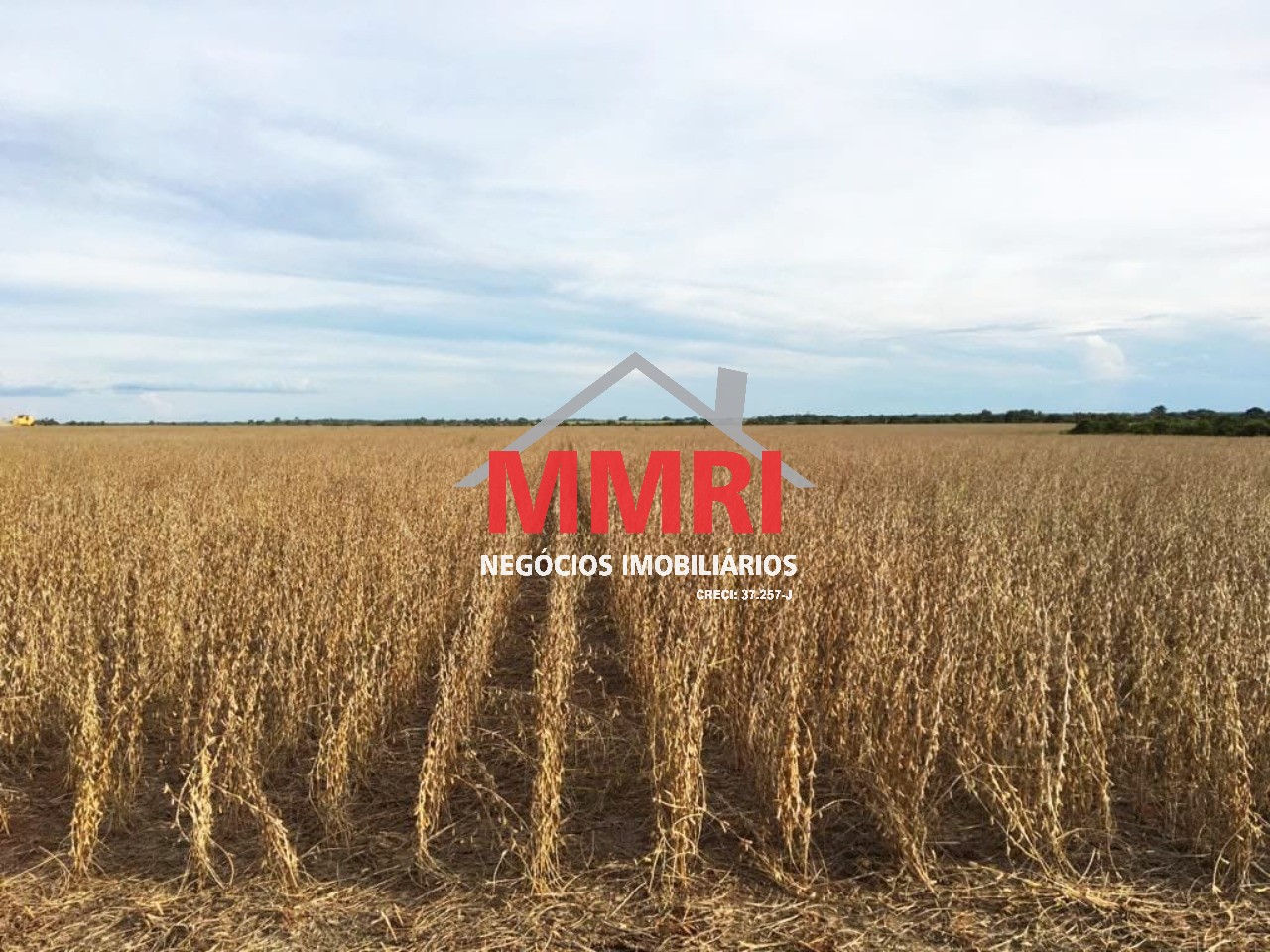 Fazenda, 3 hectares - Foto 4