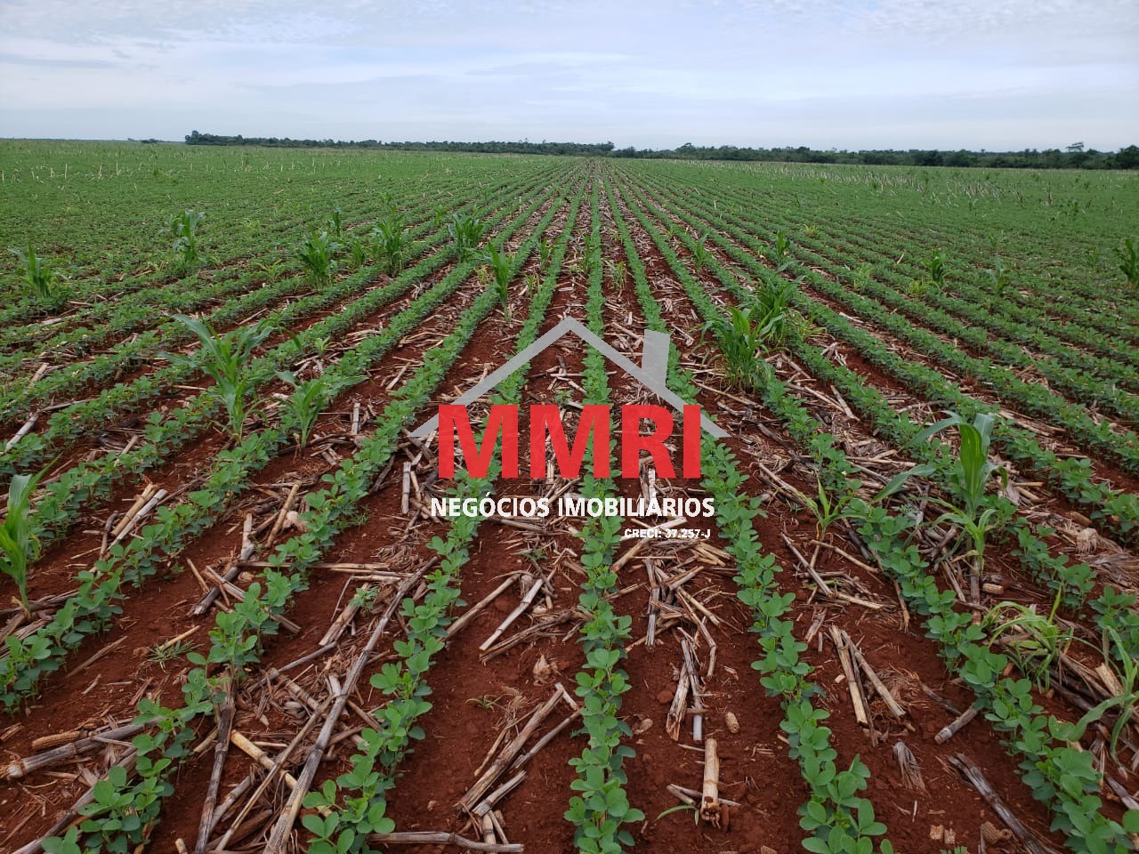 Fazenda, 3 hectares - Foto 16