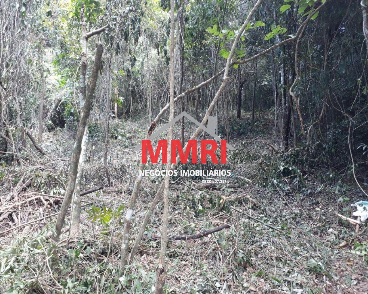 Terreno, 1000 m² - Foto 9