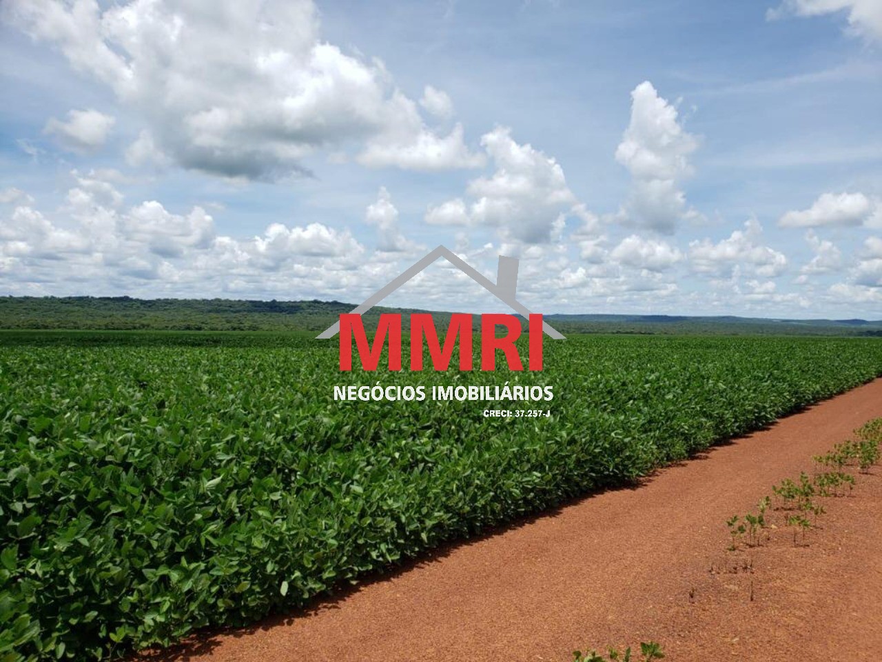 Fazenda, 3 hectares - Foto 18