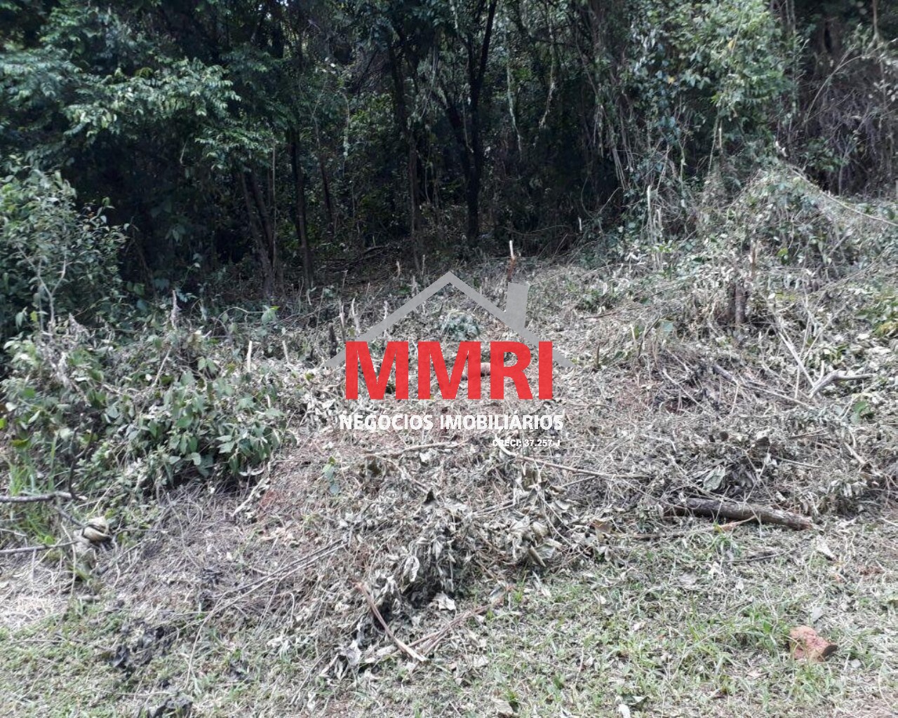 Terreno, 1000 m² - Foto 11