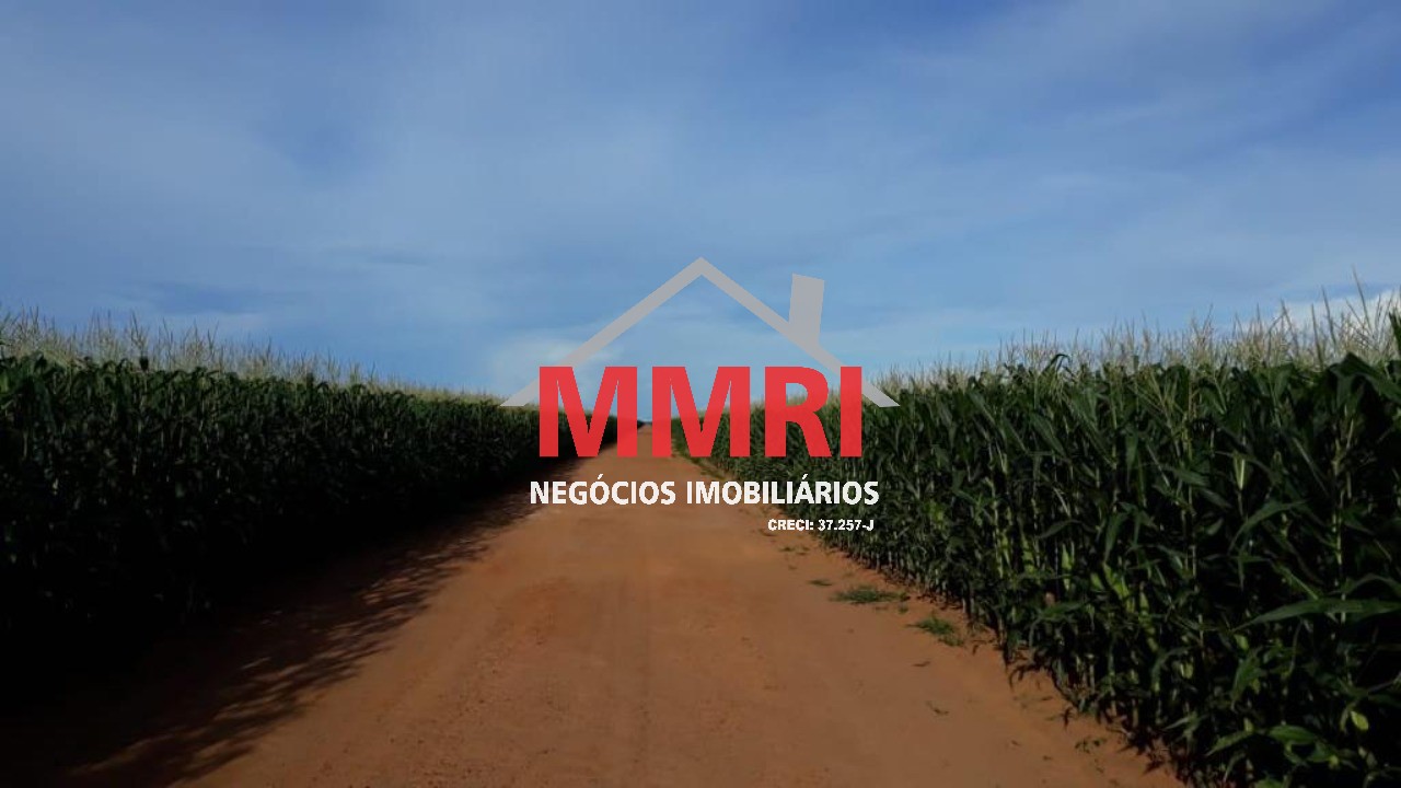 Fazenda, 3 hectares - Foto 19