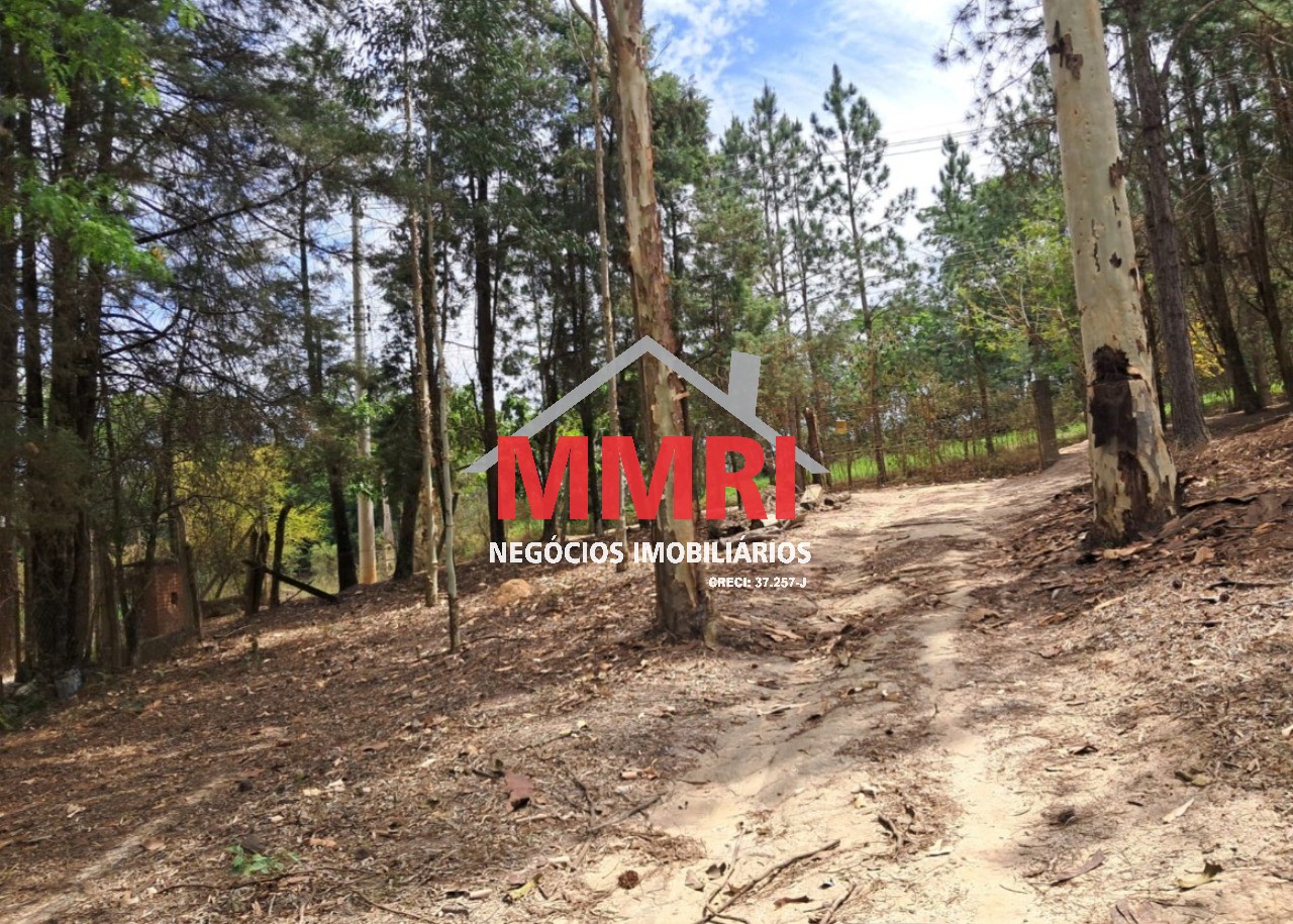 Chácara, 2 quartos, 9700 m² - Foto 13