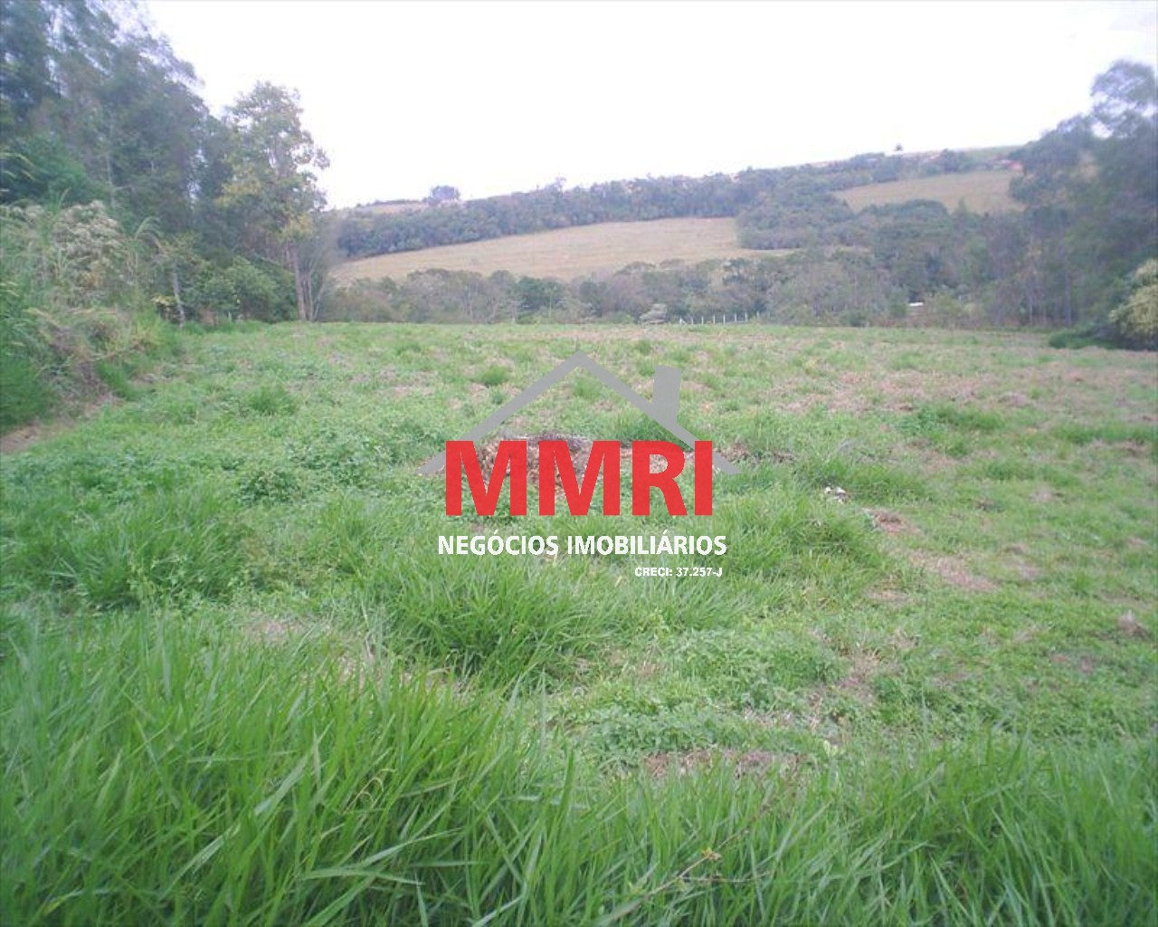 Sítio, 4 quartos, 2 hectares - Foto 46