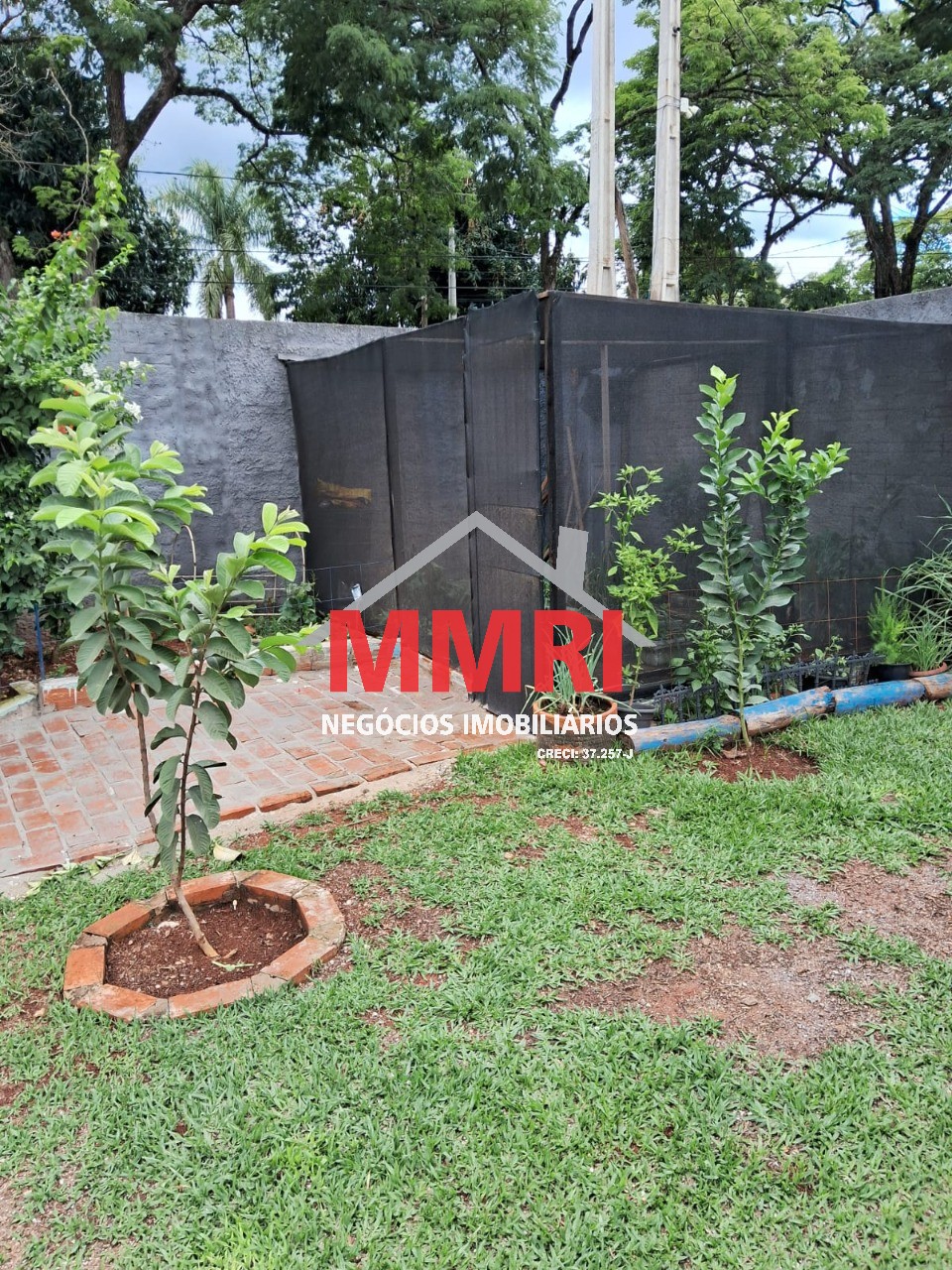 Chácara, 3 quartos, 1000 m² - Foto 24