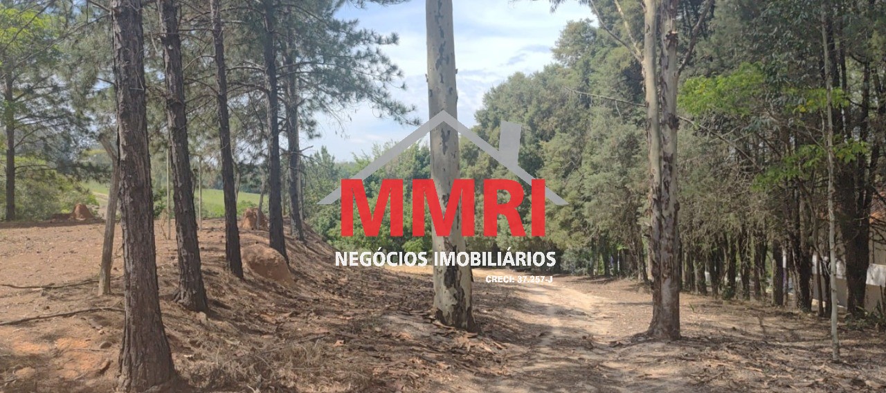 Chácara, 2 quartos, 9700 m² - Foto 6