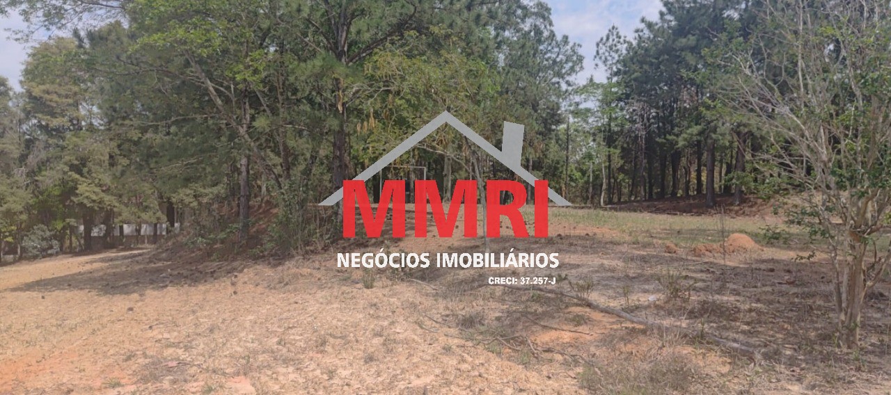 Chácara, 2 quartos, 9700 m² - Foto 5