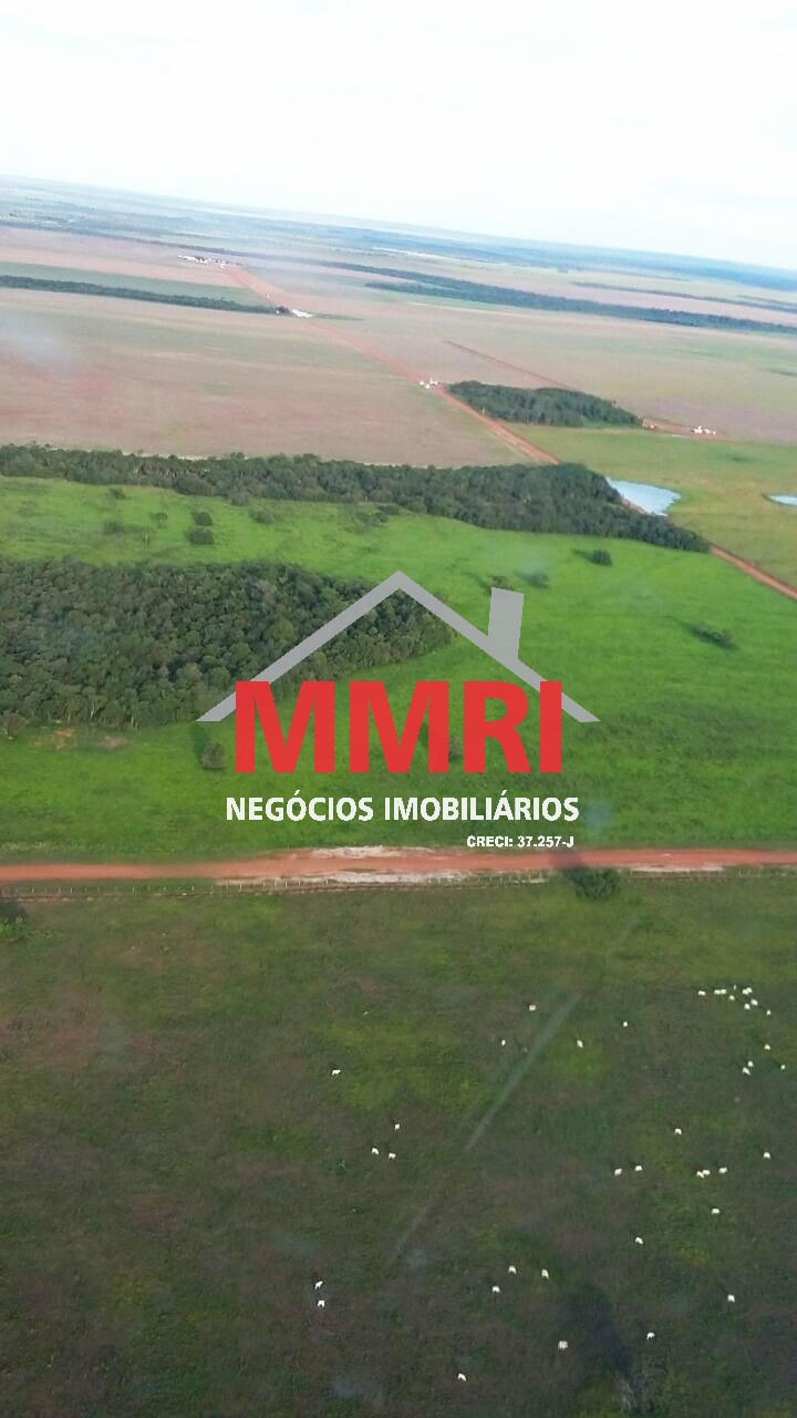 Fazenda, 3 hectares - Foto 2