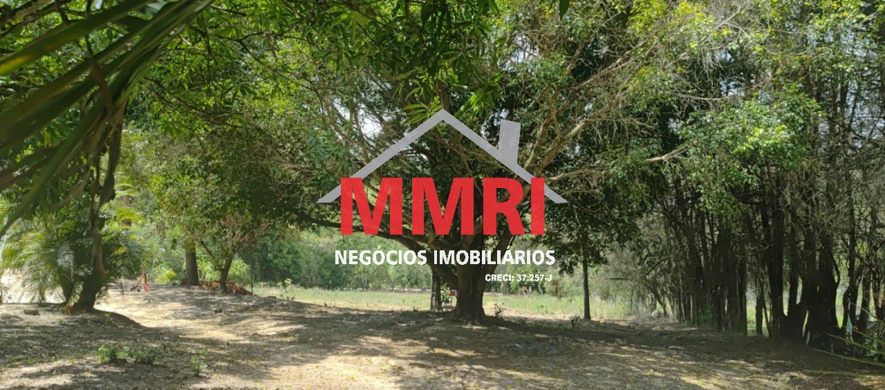 Chácara, 2 quartos, 9700 m² - Foto 10