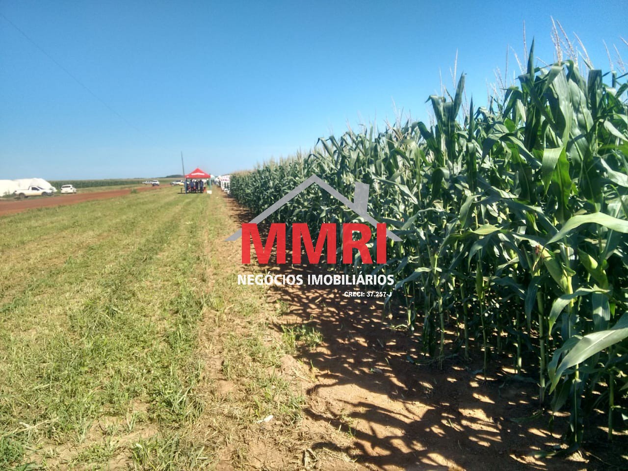 Fazenda, 3 hectares - Foto 3