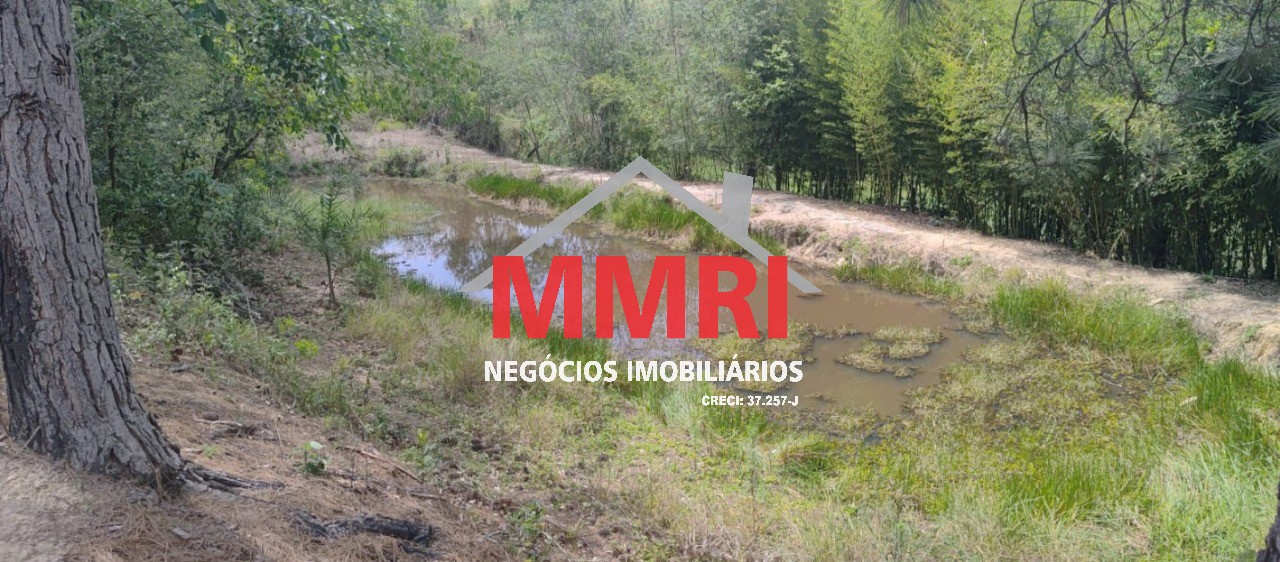 Chácara, 2 quartos, 9700 m² - Foto 7