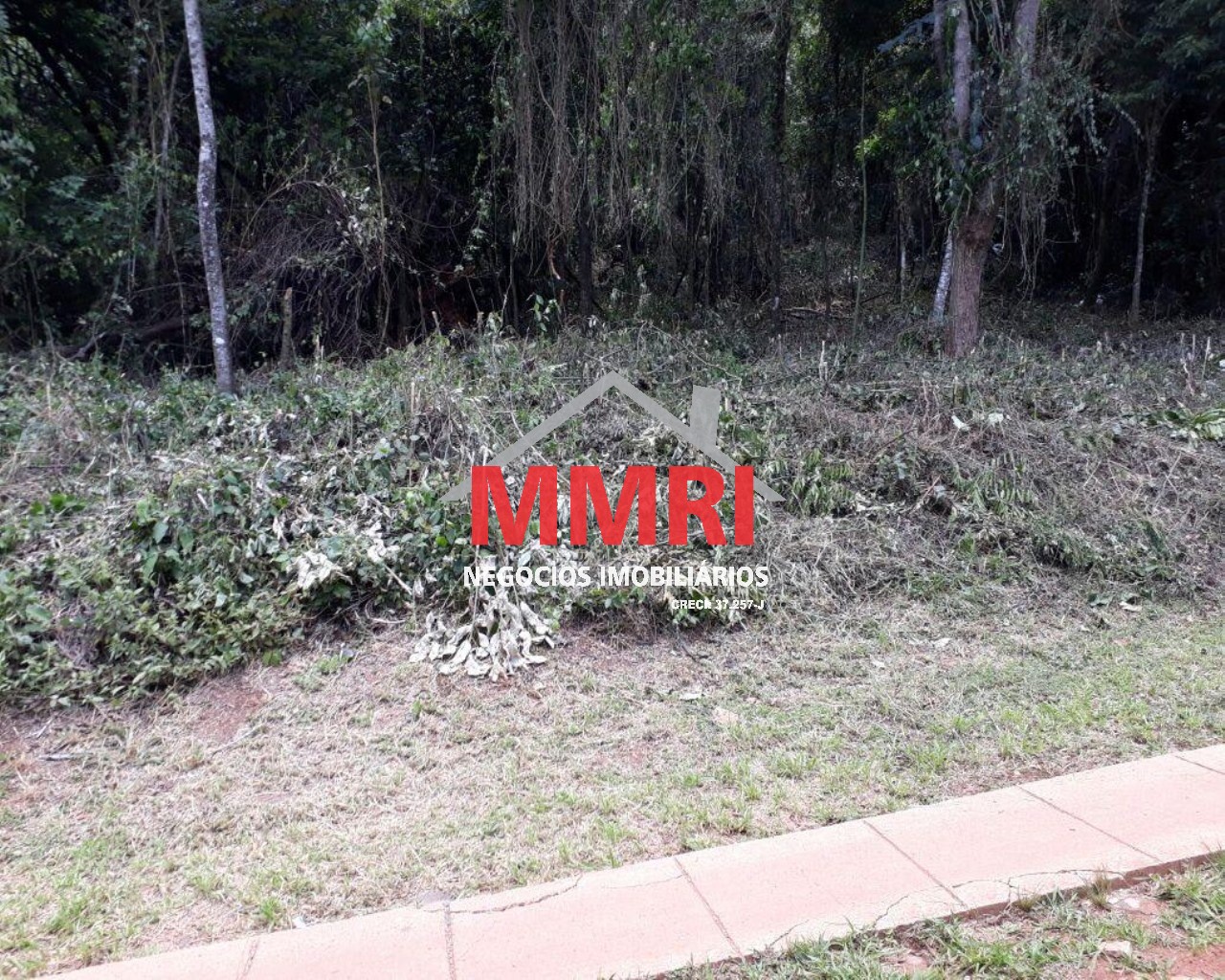 Terreno, 1000 m² - Foto 1