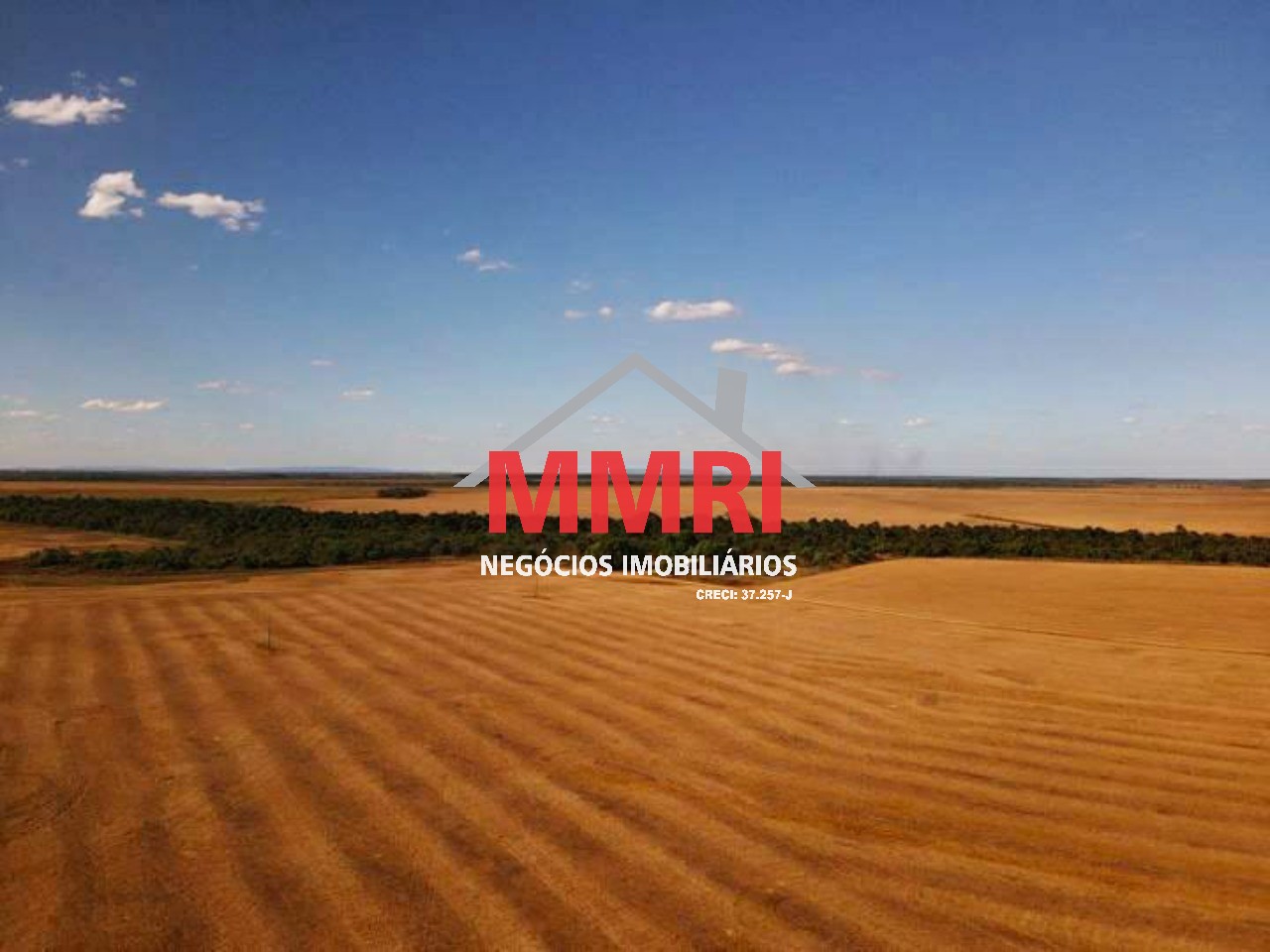 Fazenda, 3 hectares - Foto 1