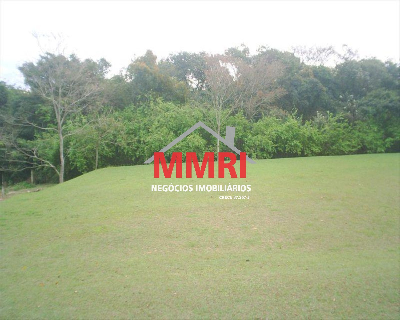 Sítio, 4 quartos, 2 hectares - Foto 9