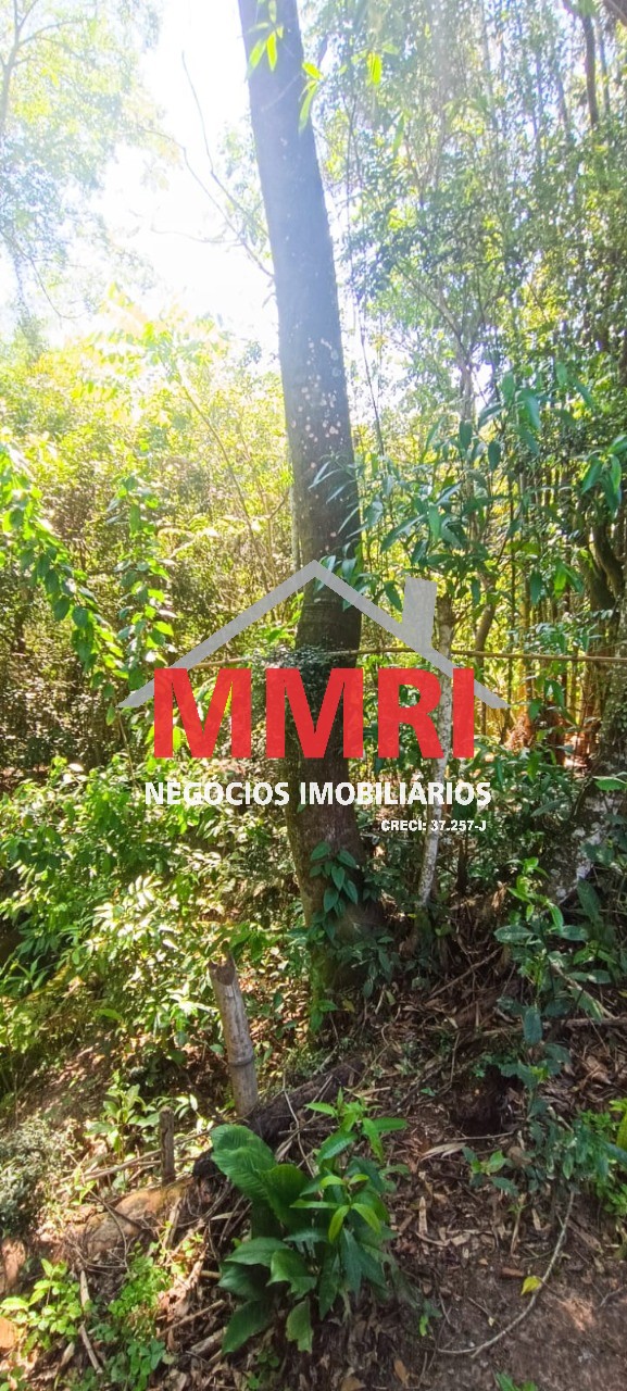 Chácara, 3 quartos, 1719 m² - Foto 18