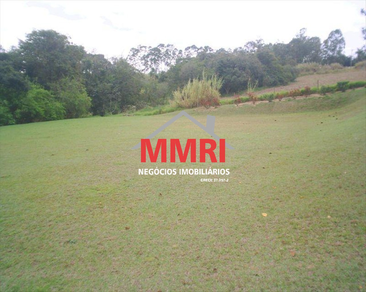 Sítio, 4 quartos, 2 hectares - Foto 8