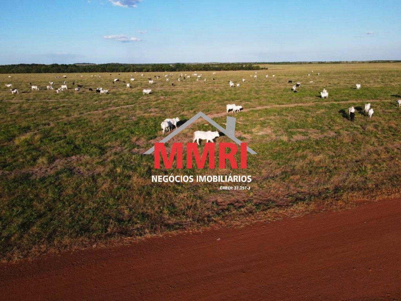 Fazenda, 3 hectares - Foto 6