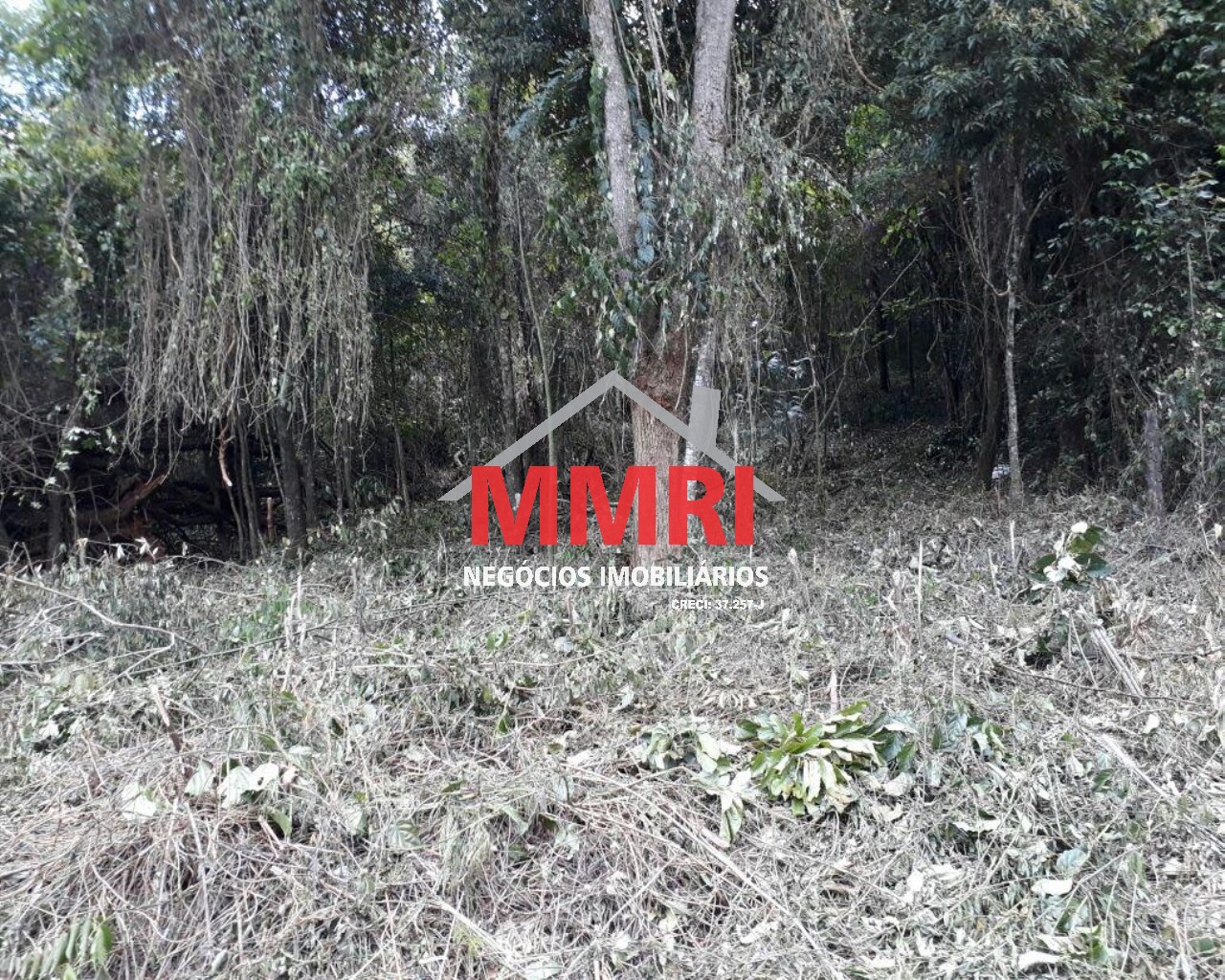 Terreno, 1000 m² - Foto 4