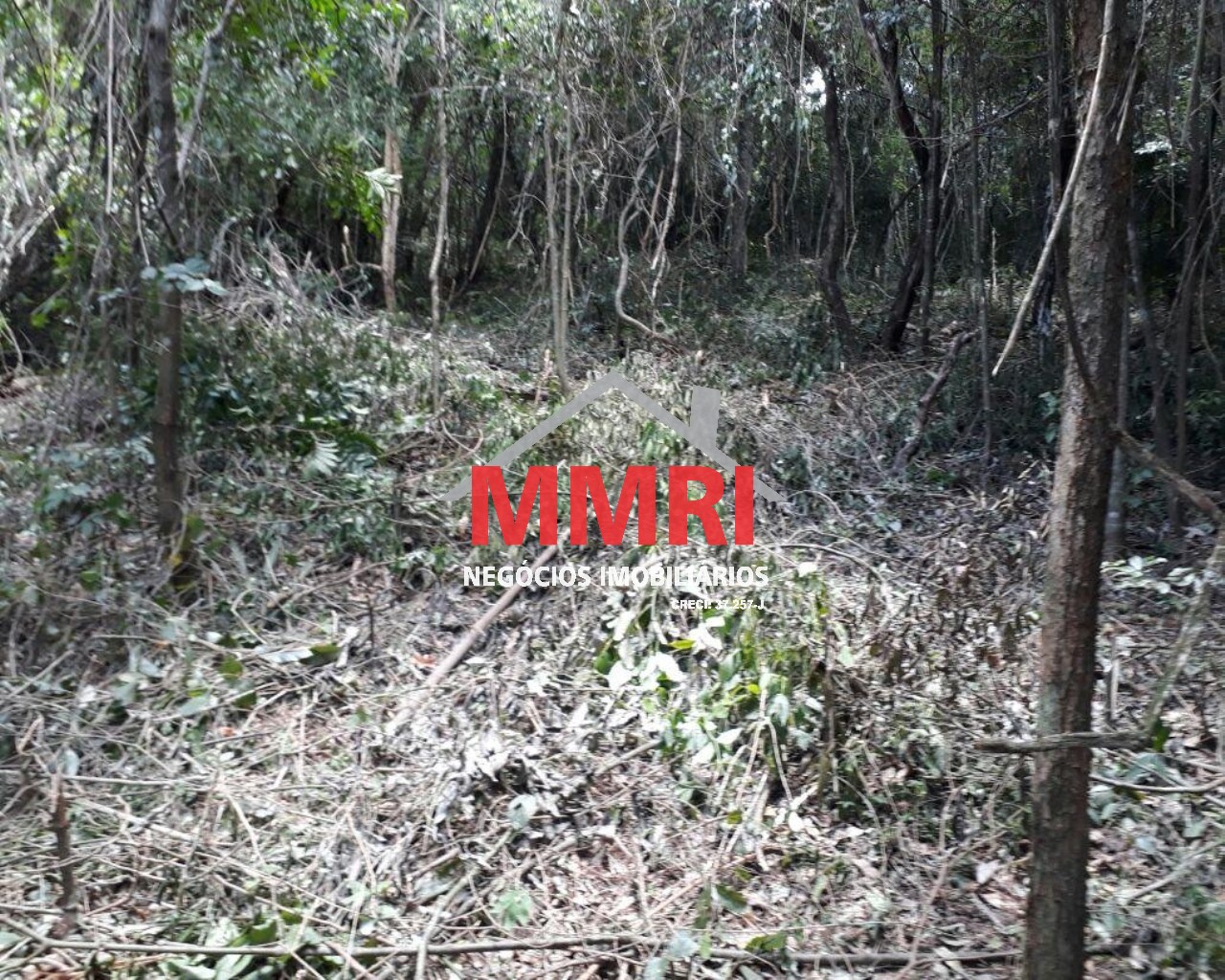 Terreno, 1000 m² - Foto 2