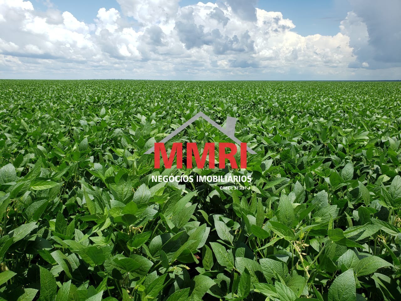 Fazenda, 3 hectares - Foto 14