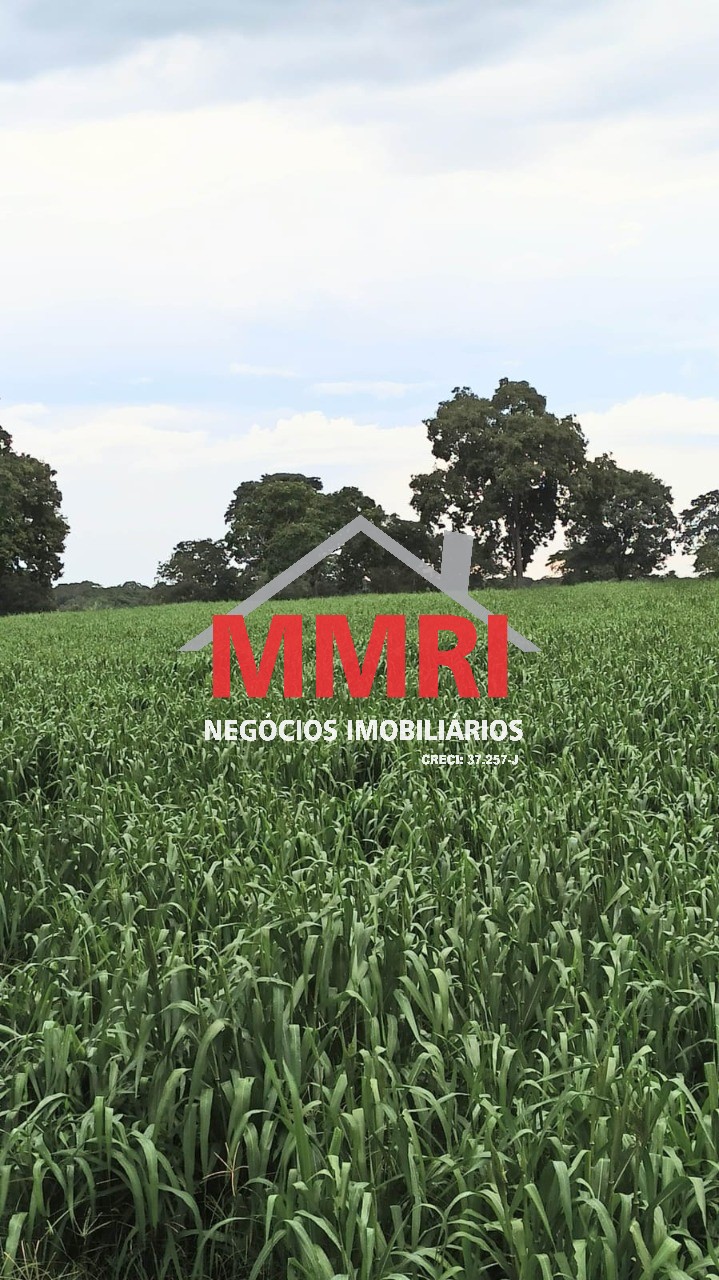 Fazenda - Foto 1