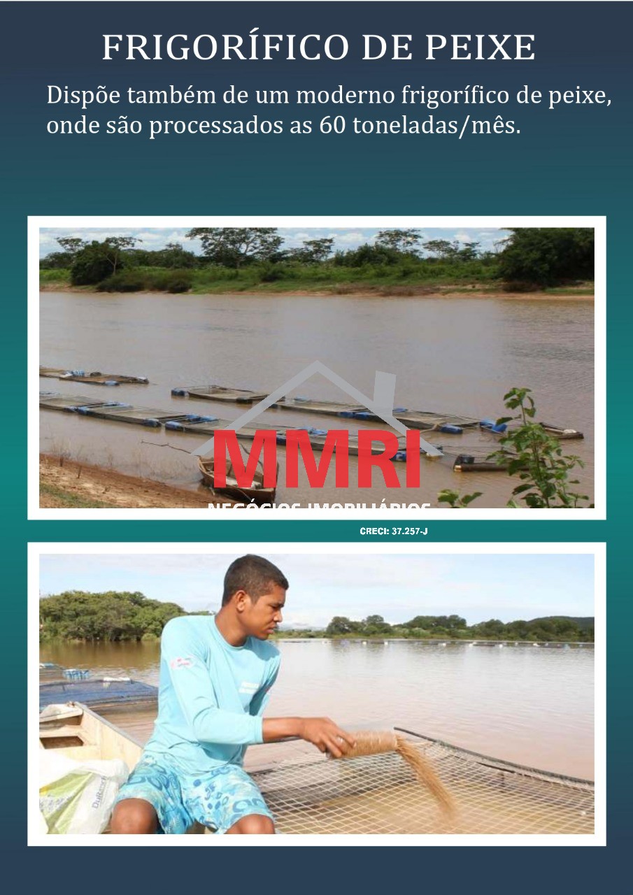 Fazenda, 2 hectares - Foto 8