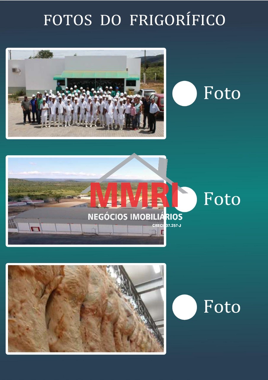 Fazenda, 2 hectares - Foto 6