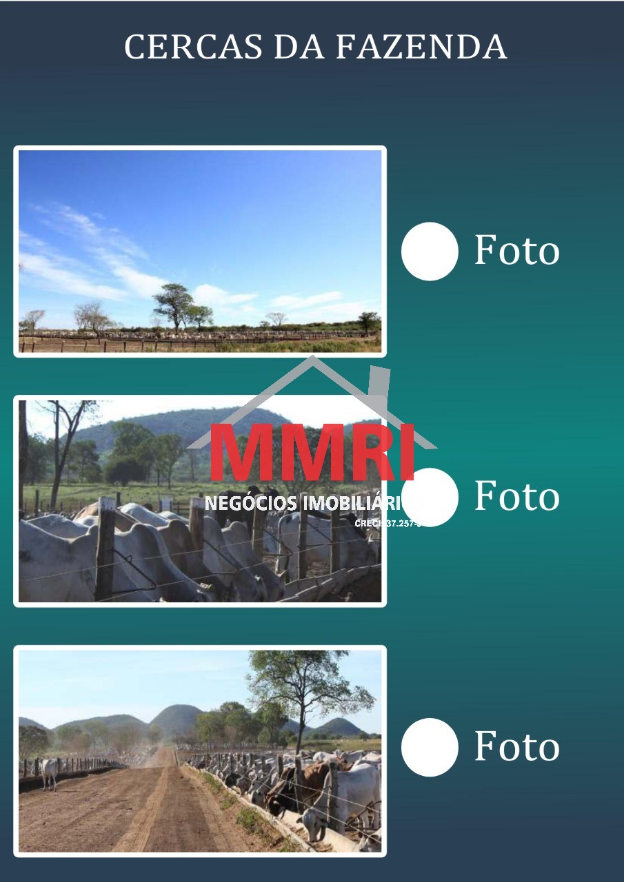 Fazenda, 2 hectares - Foto 11