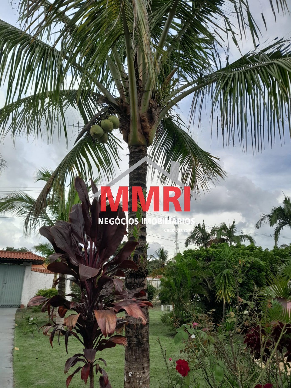 Chácara, 2 quartos, 1500 m² - Foto 22