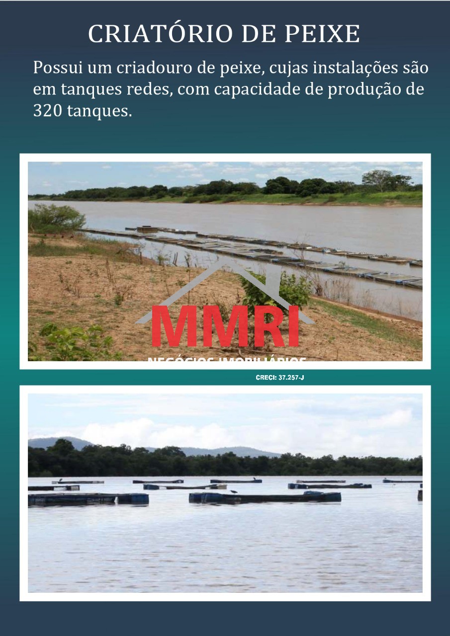 Fazenda, 2 hectares - Foto 7