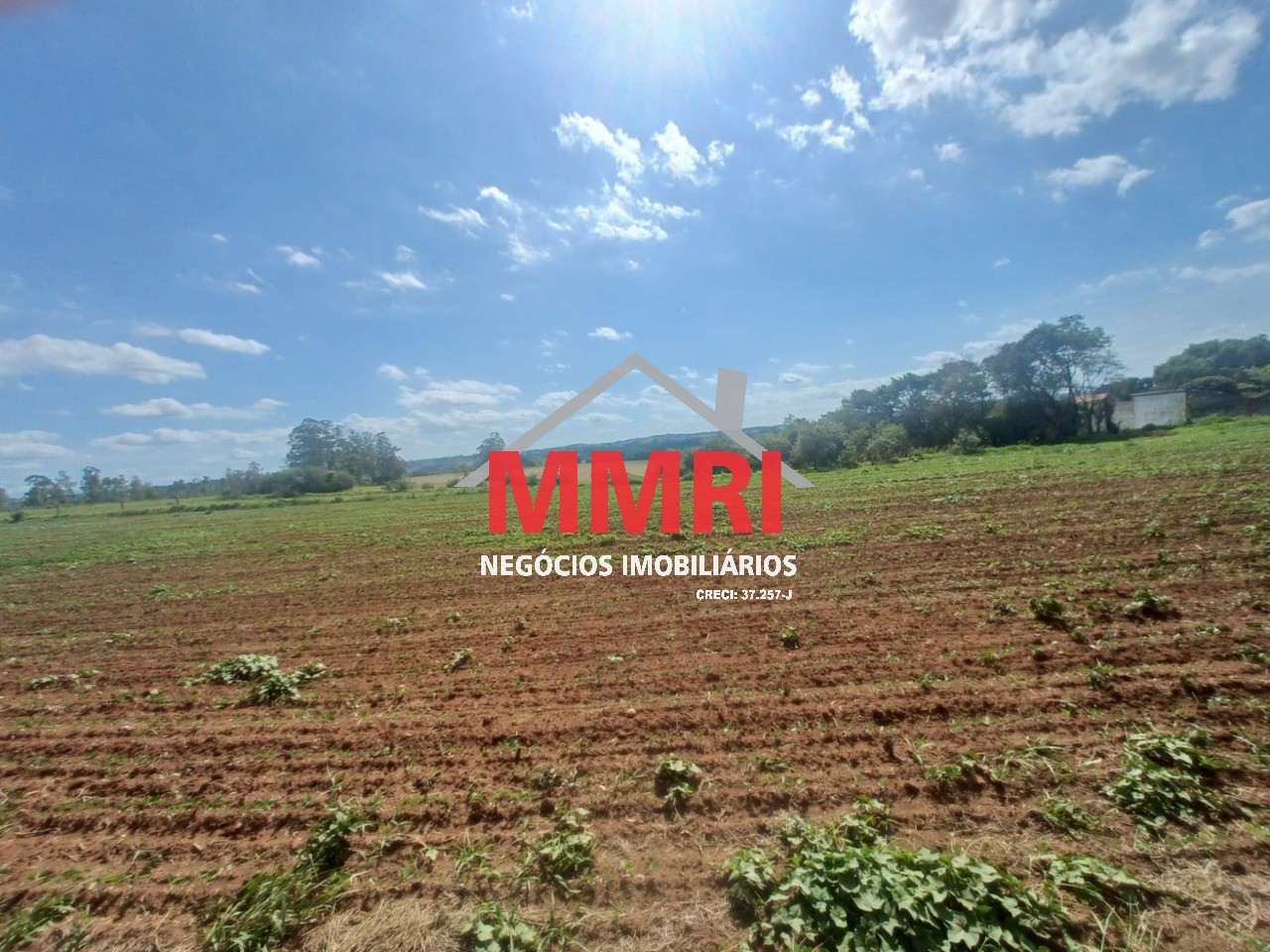 Terreno, 1 hectares - Foto 7