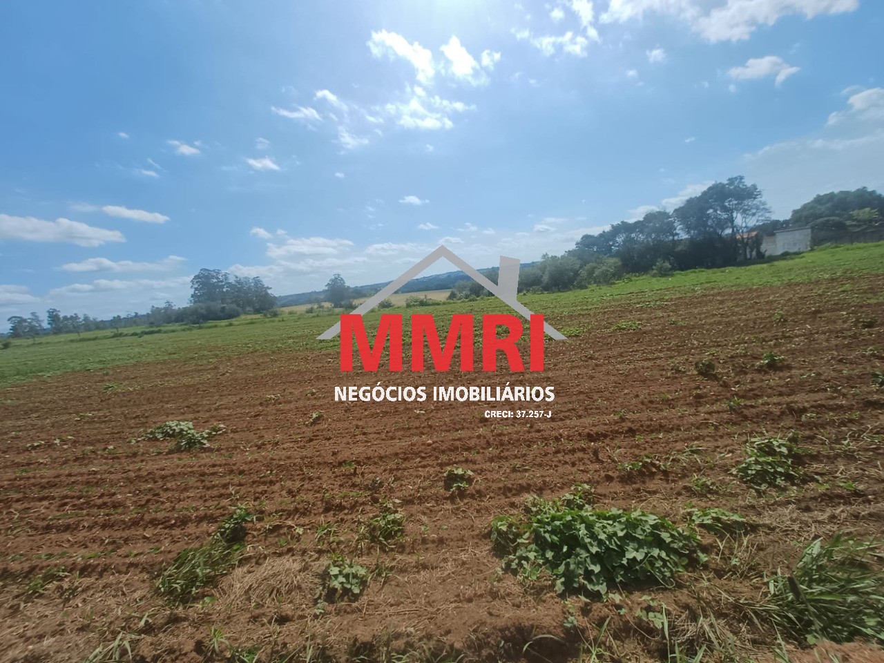 Terreno, 1 hectares - Foto 6