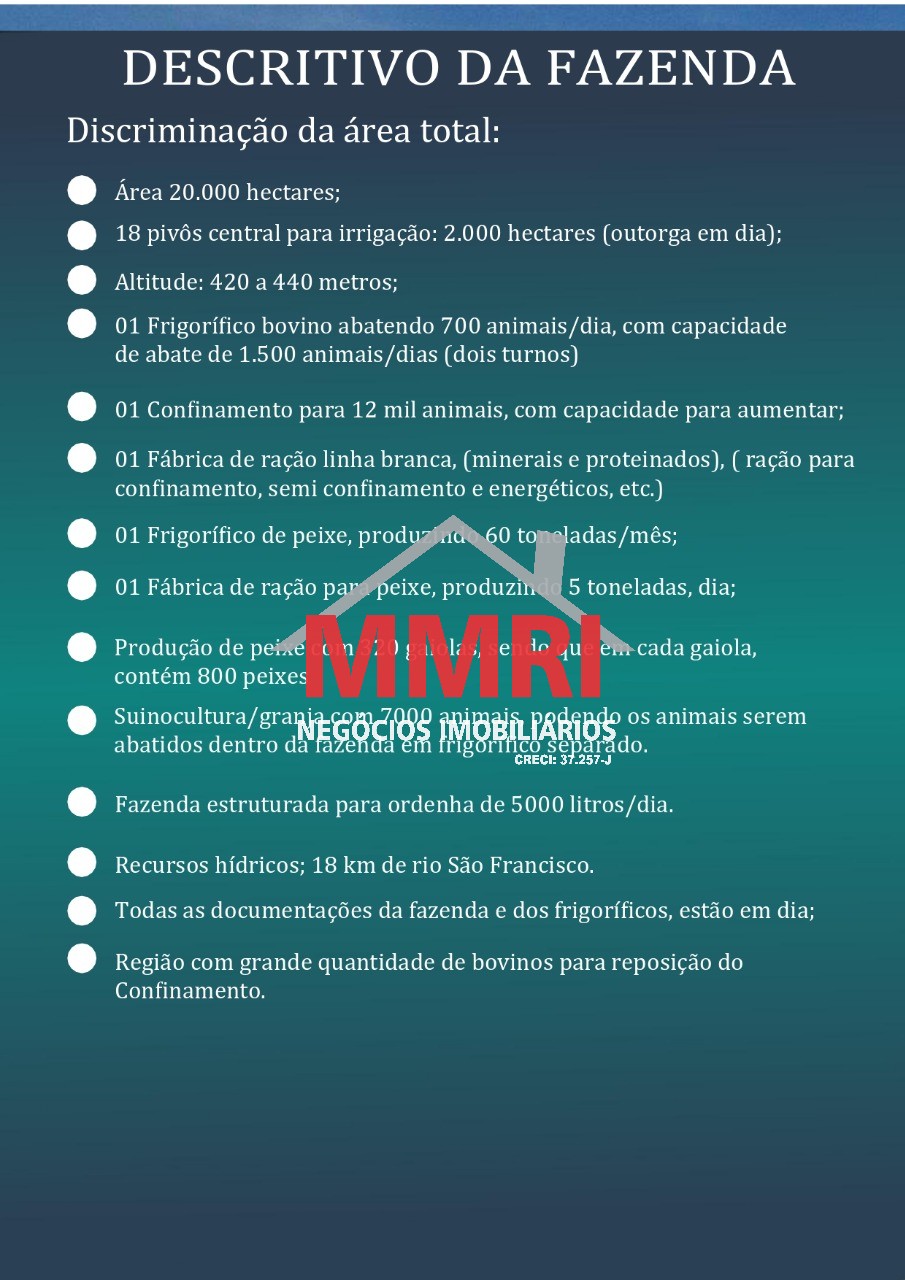 Fazenda, 2 hectares - Foto 15