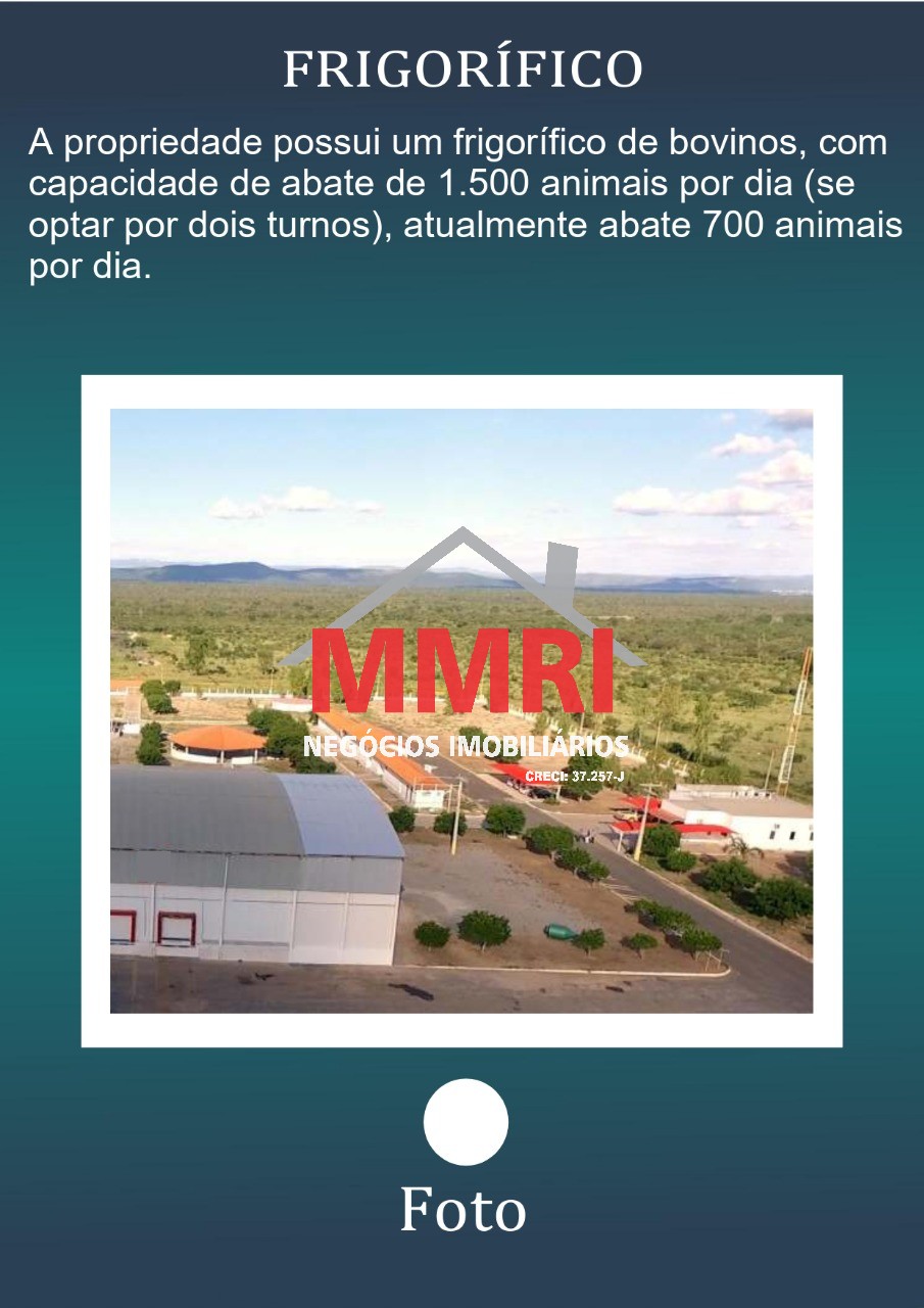 Fazenda, 2 hectares - Foto 5