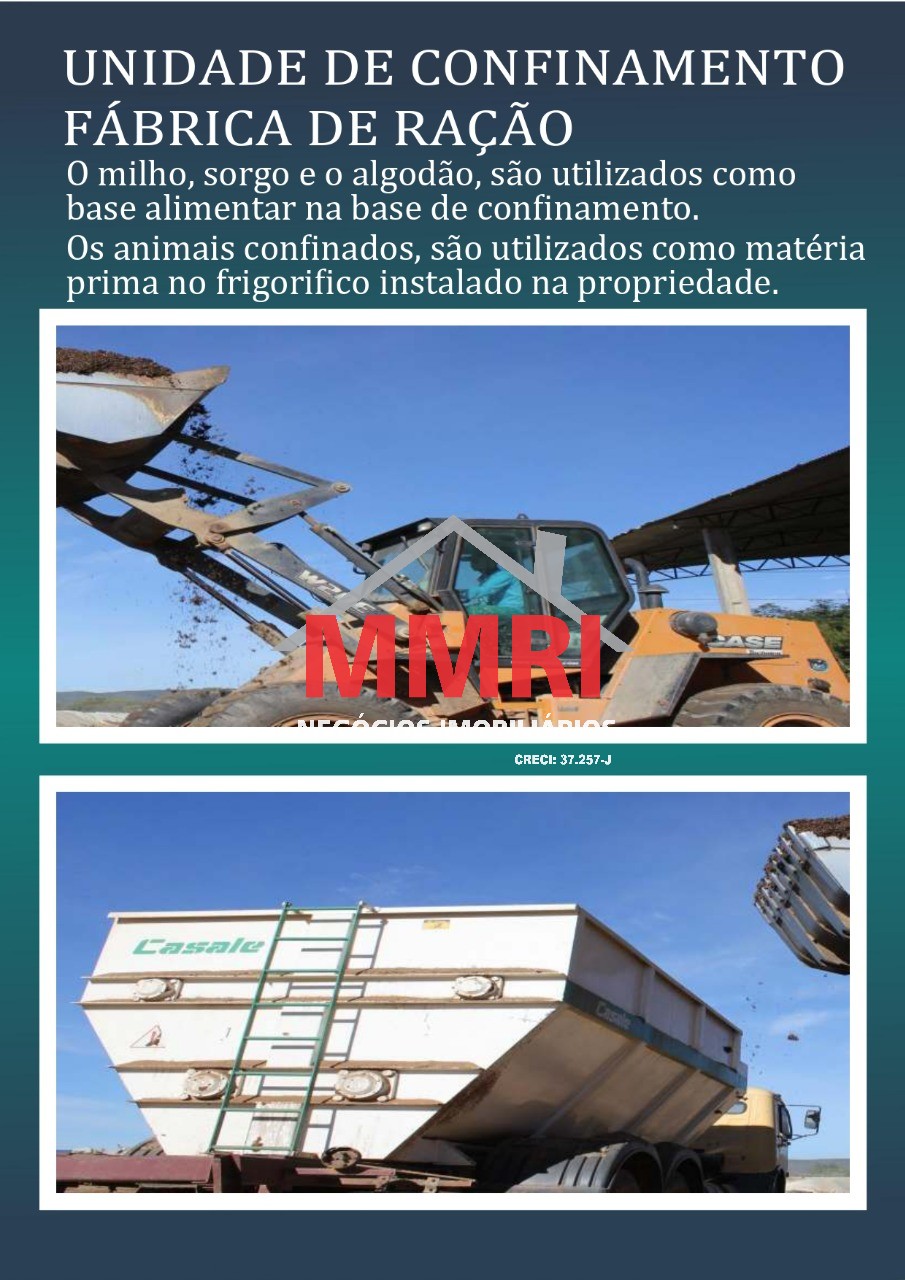 Fazenda, 2 hectares - Foto 13