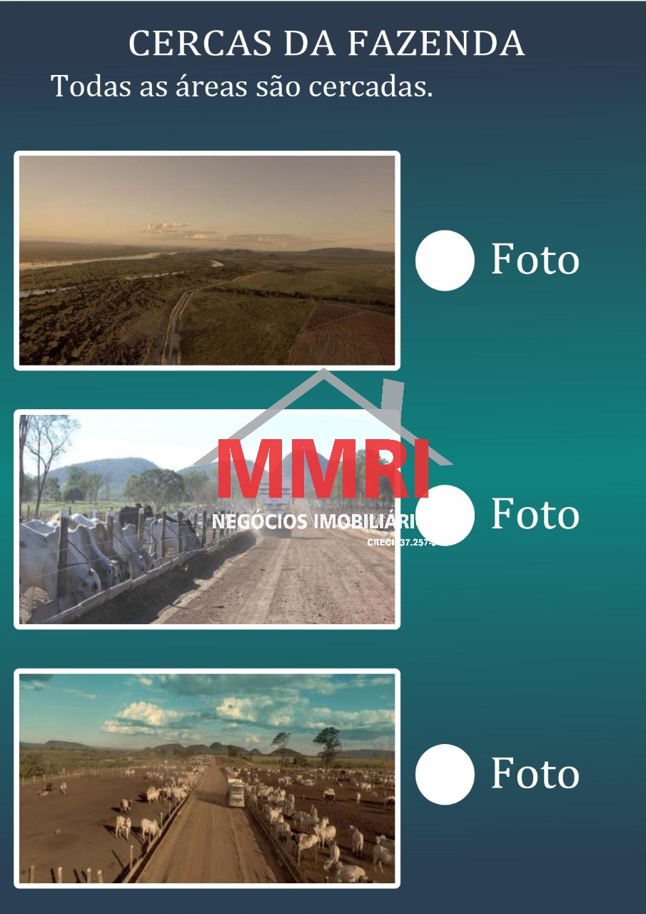 Fazenda, 2 hectares - Foto 10