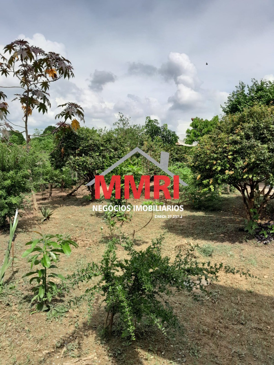 Chácara, 2 quartos, 1500 m² - Foto 23