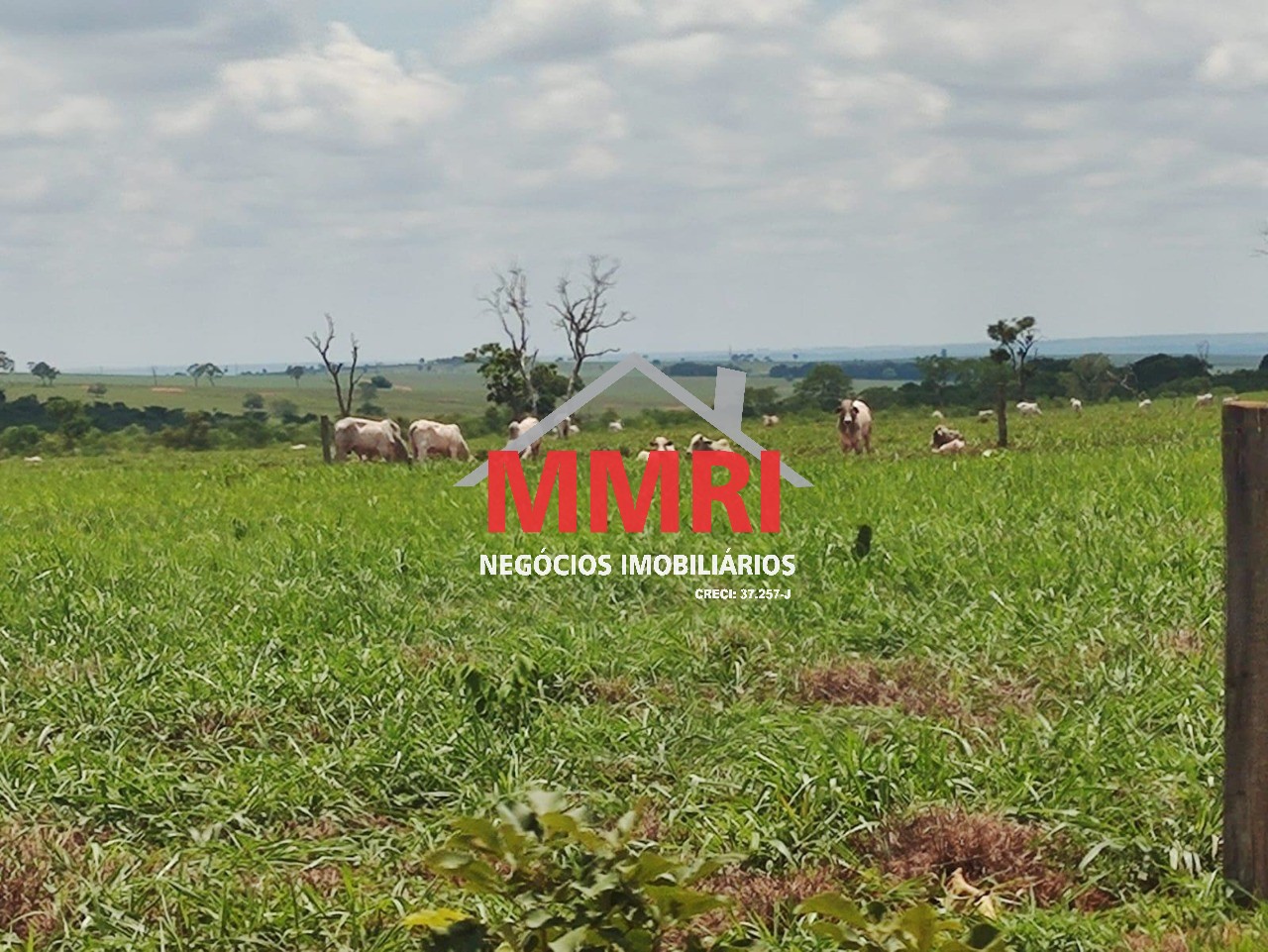 Fazenda, 3100 m² - Foto 20