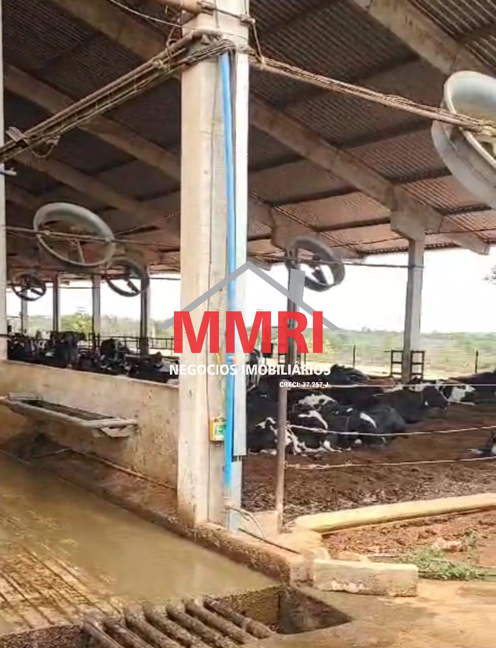 Fazenda, 800 m² - Foto 16