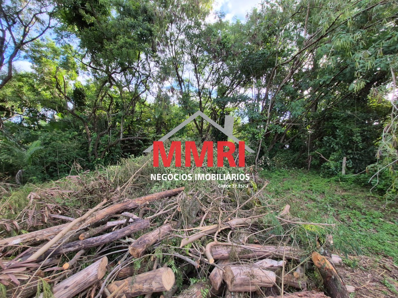 Terreno, 1645 m² - Foto 10